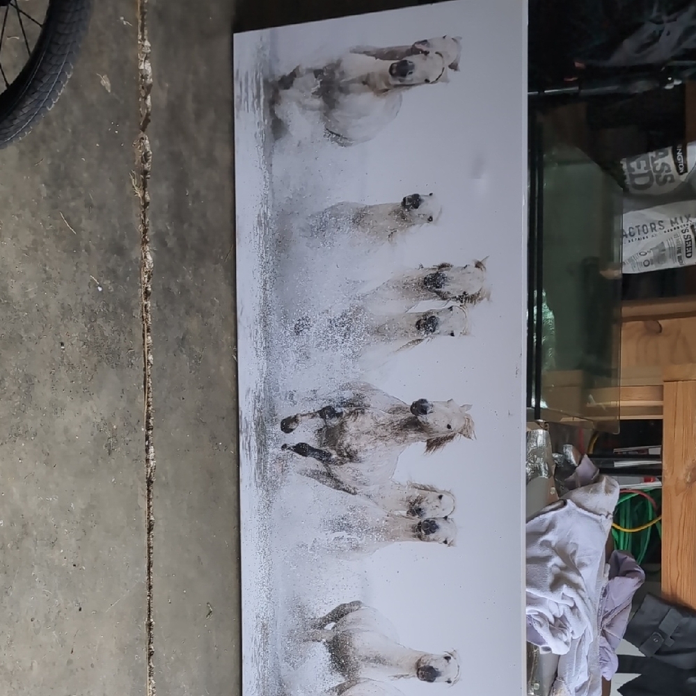 White Horse Canvas Art